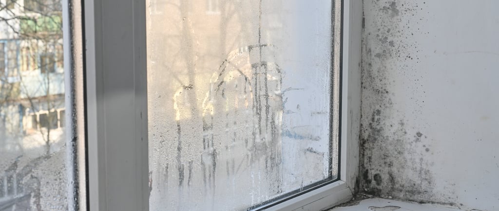 Condensación en ventana y moho negro en pared interior