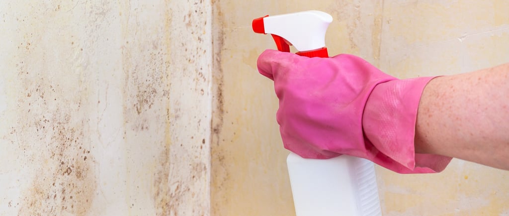 Aplicando spray antimoho en pared con manchas de humedad