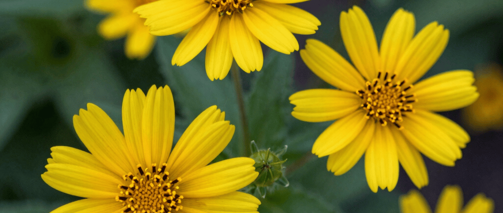 white concrete building