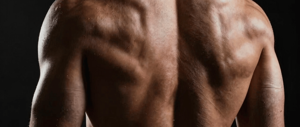 Woman walks on wooden bridge through lush green forest.