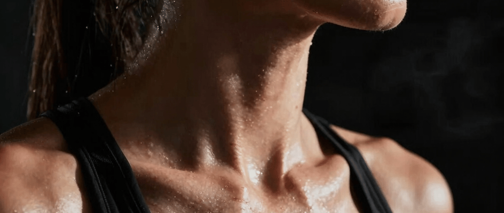 road between trees during daytime