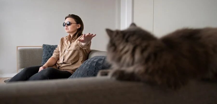 How to Stop a Cat Peeing on the Sofa