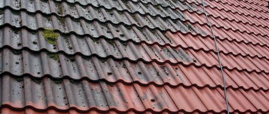 roof soft washing no pressure