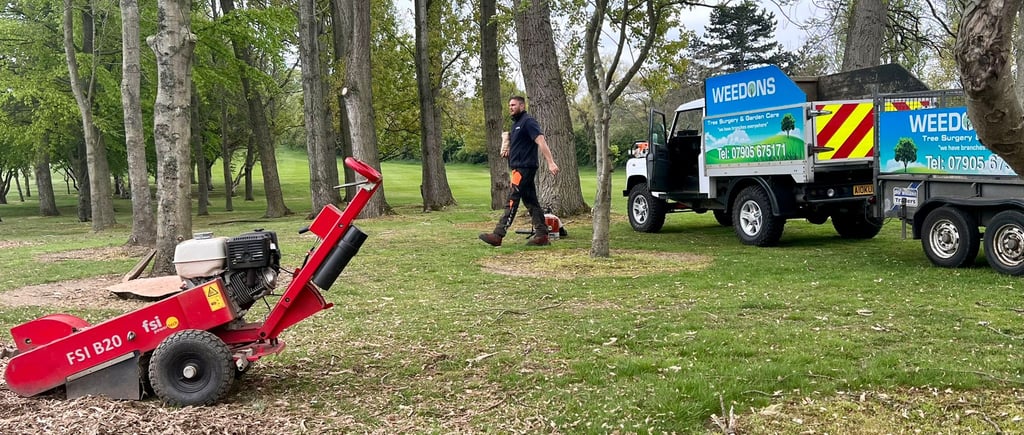 stump grinding vs. DIY