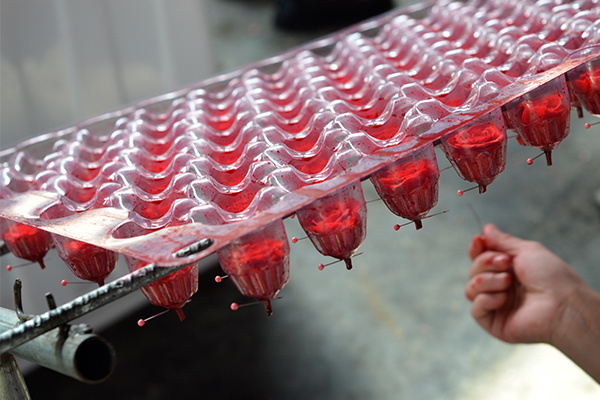 Timeless Beauty: The Natural Touch of Preserved Flowers