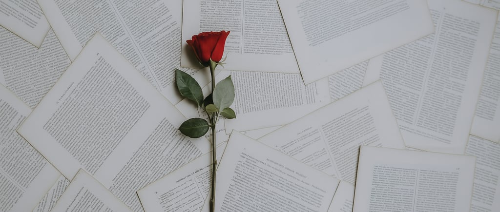 preserved rose