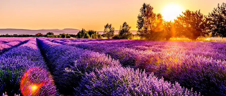 where to work in Marseille