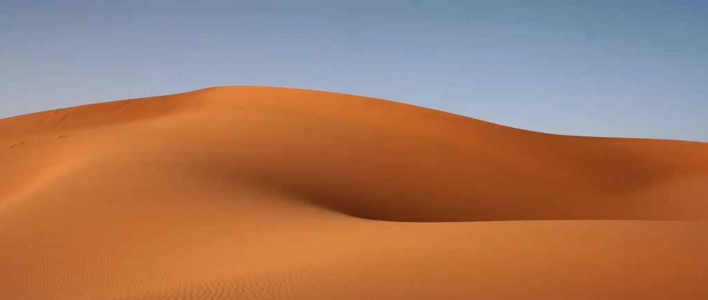 where to work from Algier