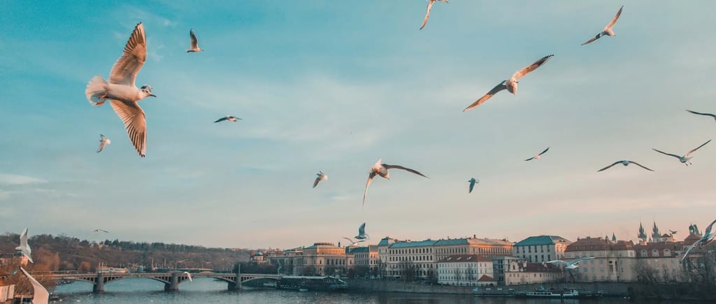 cafes to work from in prague