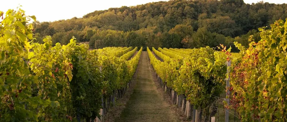 cafés to work from Mendoza