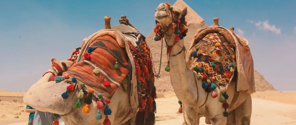 digital nomad activities cairo