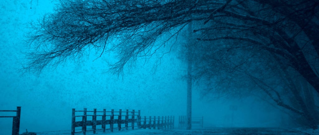 winter blues seasonal affective disorder SAD