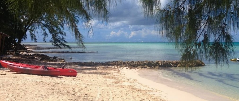 Barcos de passeio ancorados à beira-mar em Grand Cayman, com palmeiras e o litoral ao fundo.