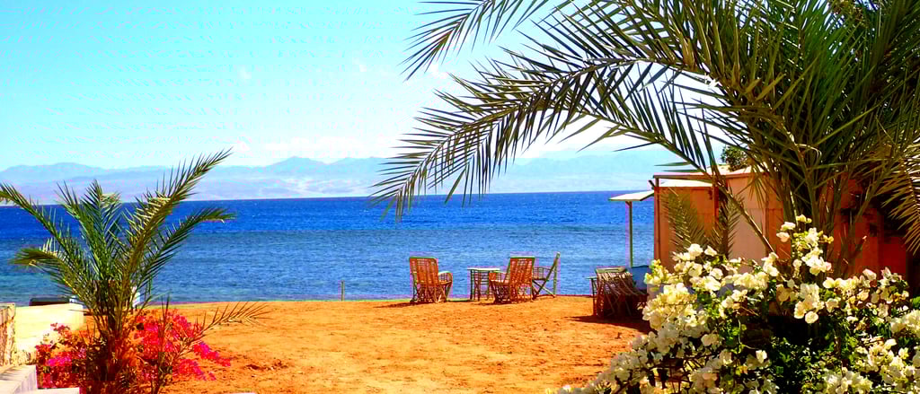  en strand med romantisk bungalow og et palmetre