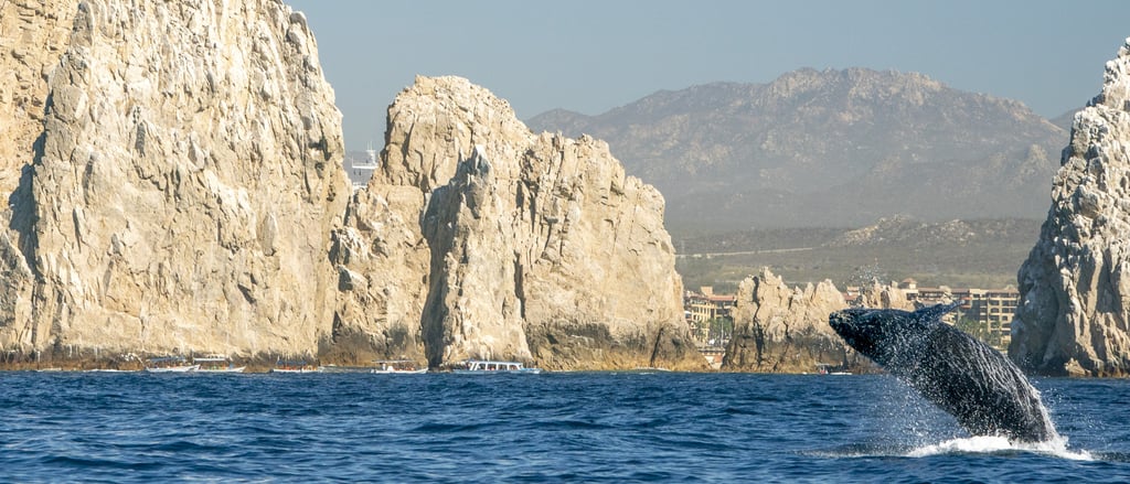 Baleia saltando em frente ao Arco de Cabo San Lucas, México.