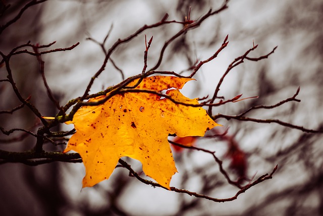 Fall Camping Safety Tips
