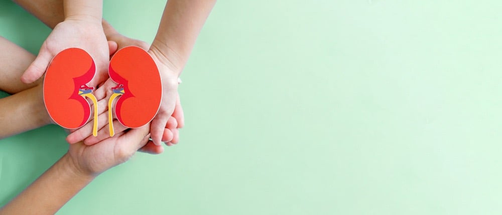 Urinary Tract Infection, Burning, Pee, Urine, Frequency, Antibiotics, Tests, Testing, UTI