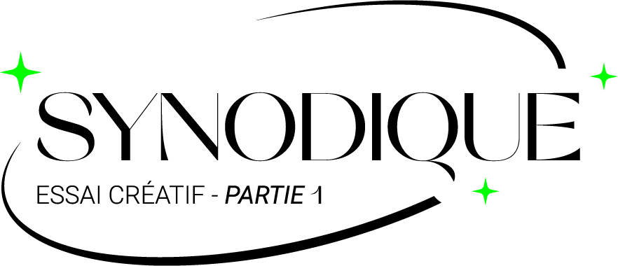 réalisation vidéo synodique littydoz reportage lille