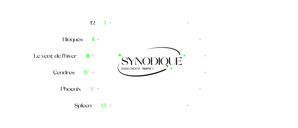 réalisation vidéo synodique littydoz reportage lille