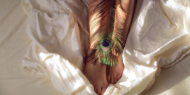 PLUMEAU SUR LES JAMBES