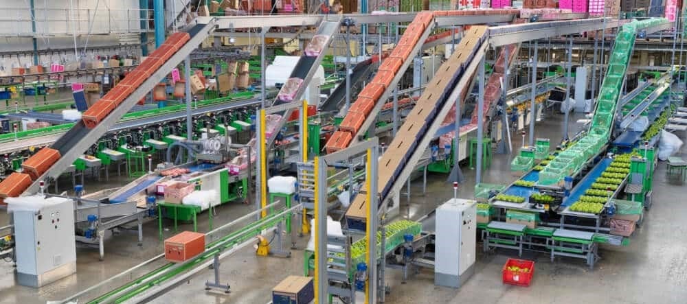 Warehouse Conveyor Automation
