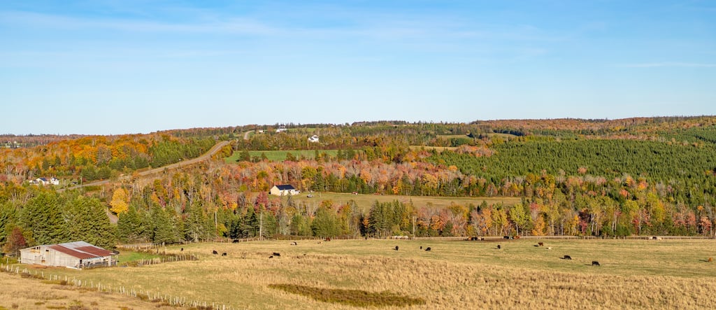 Fall colours scenery in PEI