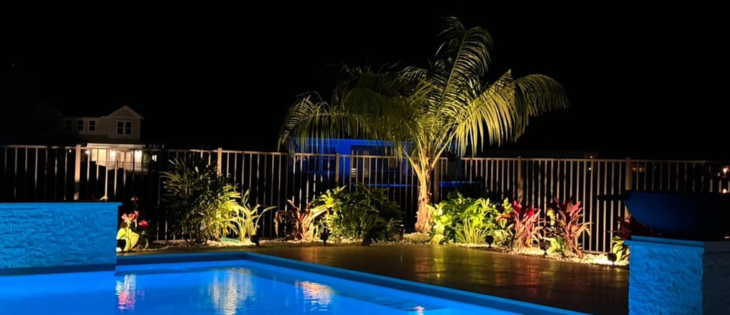 Illuminated backyard swimming pool at night with blue lighting and tropical landscape uplighting.