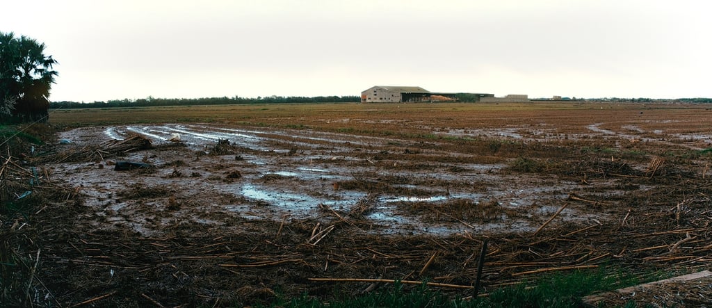 Albufera valencia tras la Dana. Imagen documental 29/10