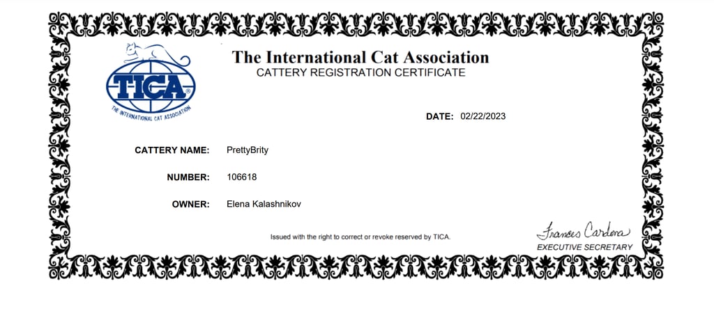 Parents of our BSH Cattery-www.prettybrity.com-www.prettybrity.com