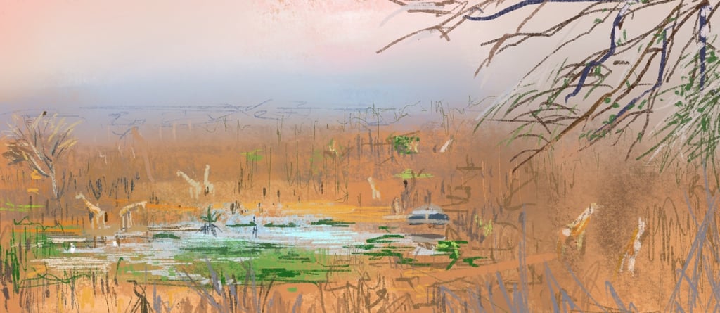 Digital postcard - Last morning in Victoria Fall