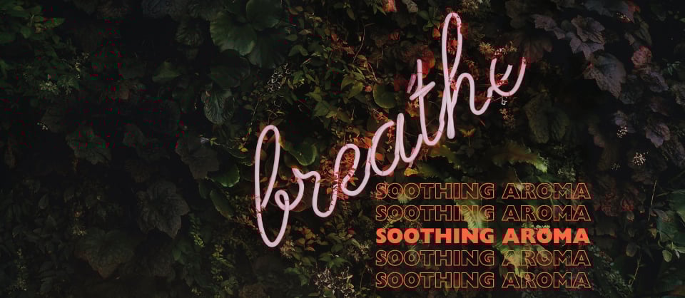 soothing aroma a neon sign that says breathe