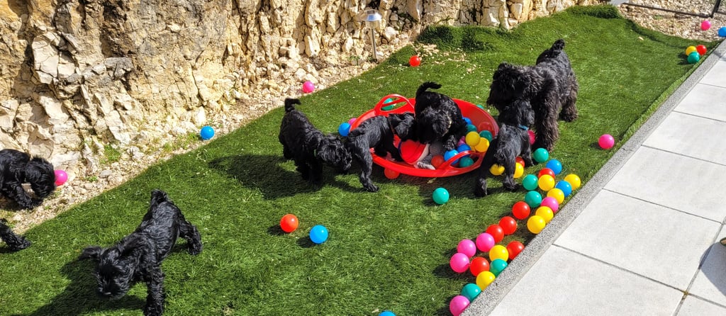 Trudi et ses bébés