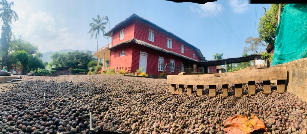 coffee and spice plantation tour