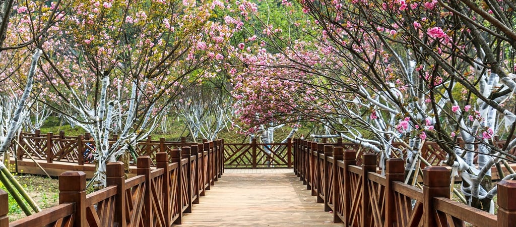 Spring break getaways