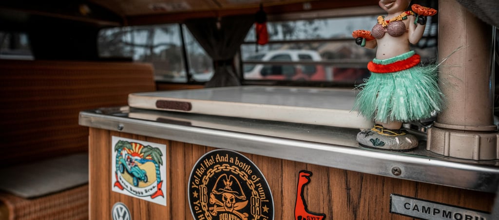 Campervan surfer