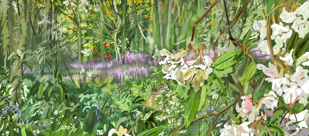 Digital drawing - Strood wood