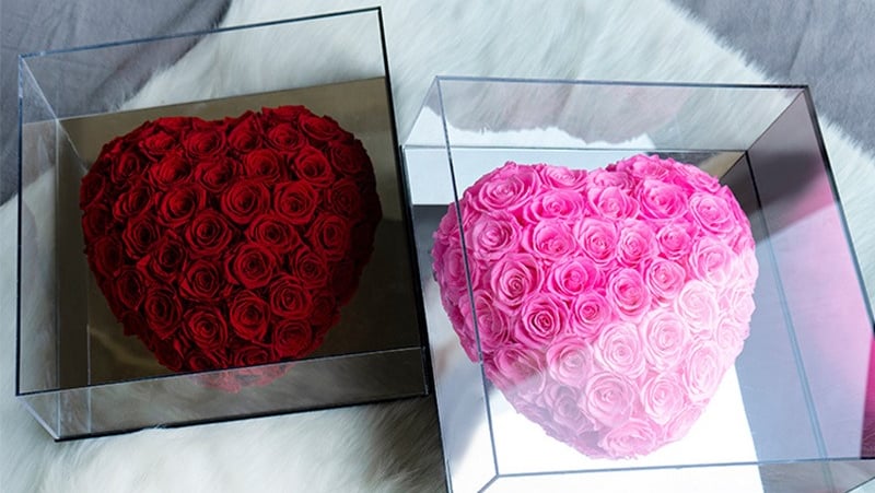preserved rose gift