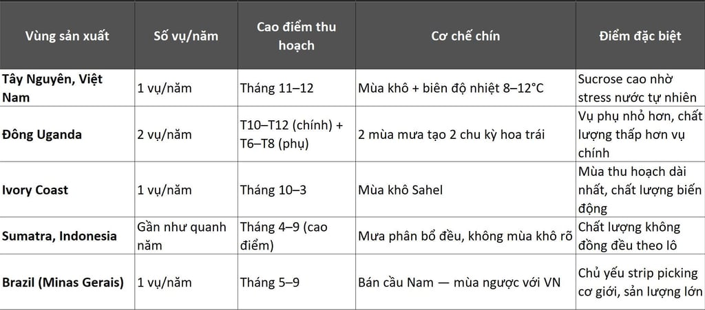Lịch mùa vụ cà phê trên thế giới