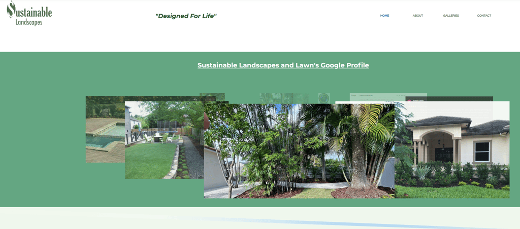 Portfolio gallery of professional residential landscape design and sustainable lawn installations.