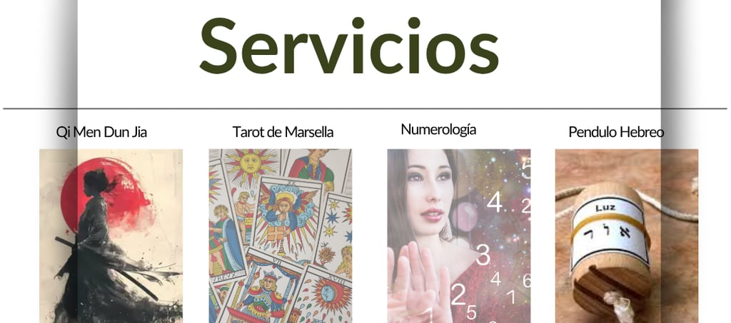 detalle de servicios ofrecidos por Antonia Albi