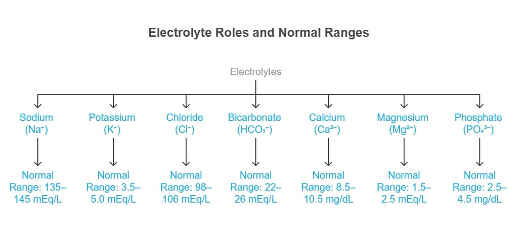 Electrolytes, role & range