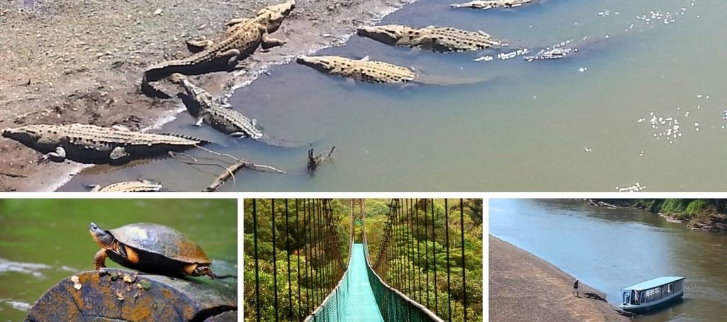 Autora em passeio em Puntarenas, Costa Rica, cercada por vida selvagem, floresta e natureza