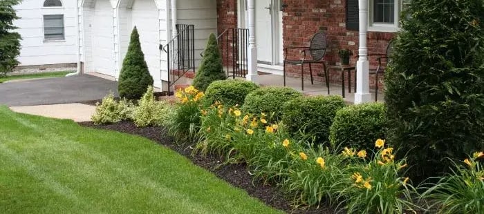 a house with a lawn and a lawn