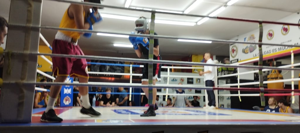 peleadores boxeo en el ring