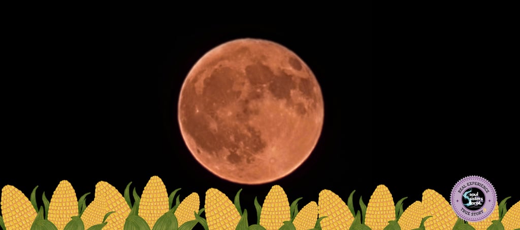 Corn Moon and Blood Moon Rituals Guide Soul Sisters Tarot