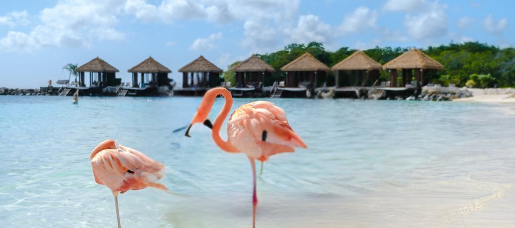 MANCHEBO BEACH ARUBA