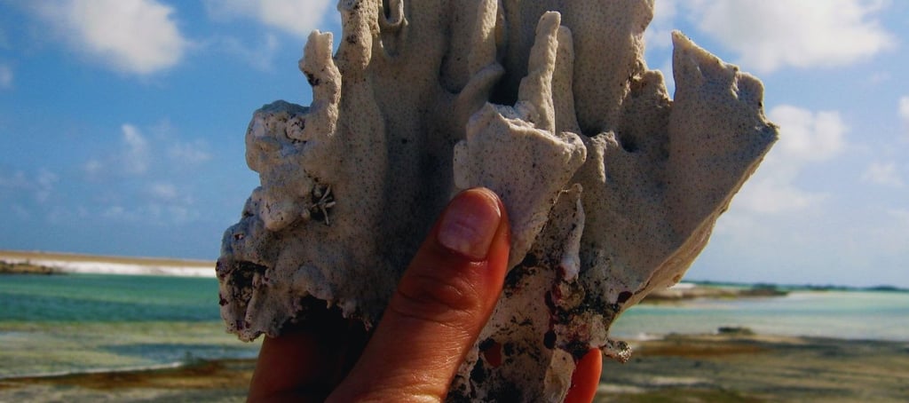 foto da autora segurando um coral em Bonaire viagens de navio