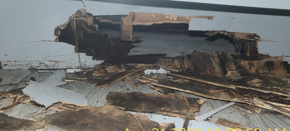 Severe water damage and wood rot on a structural floor joist beneath a gray wall.