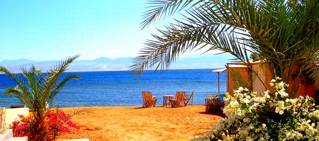 A beach with flowers and palmtreesin front of the sea, great atmosphere for family holidays 