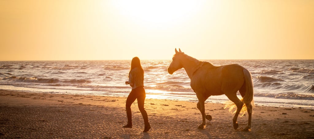 couple cavalier cheval plage liberte coucher de soleil